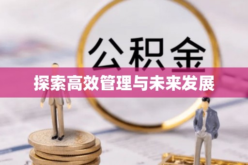 北安探索高效管理与未来发展