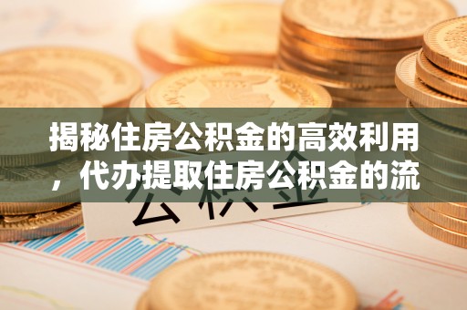 北安揭秘住房公积金的高效利用，代办提取住房公积金的流程与技巧