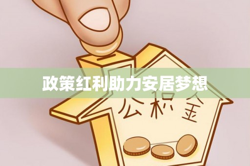 北安政策红利助力安居梦想