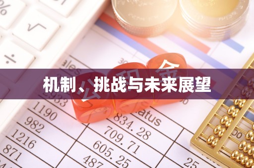 北安机制、挑战与未来展望